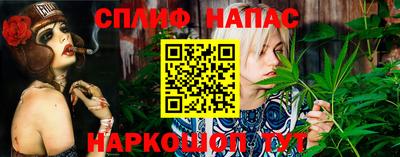 стаф Лесосибирск