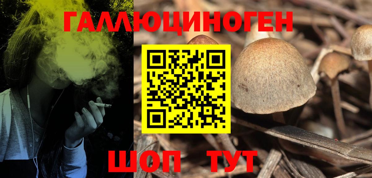 Псилоцибиновые грибы Psilocybine cubensis Ефремов
